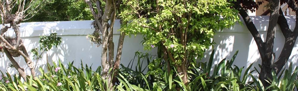 Number5 Guesthouse Cidade Do Cabo Exterior foto